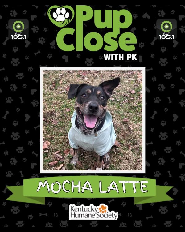 Pup Close With PK and Kentucky Humane Society